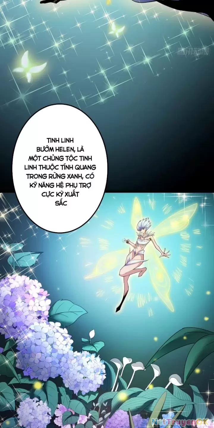 Ta, Chúa Tể Rừng Xanh Chapter 4 - Trang 2