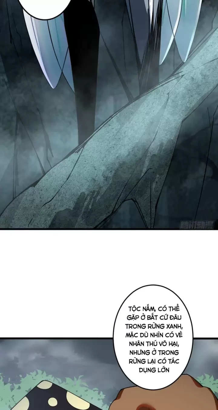 Ta, Chúa Tể Rừng Xanh Chapter 6 - Trang 2