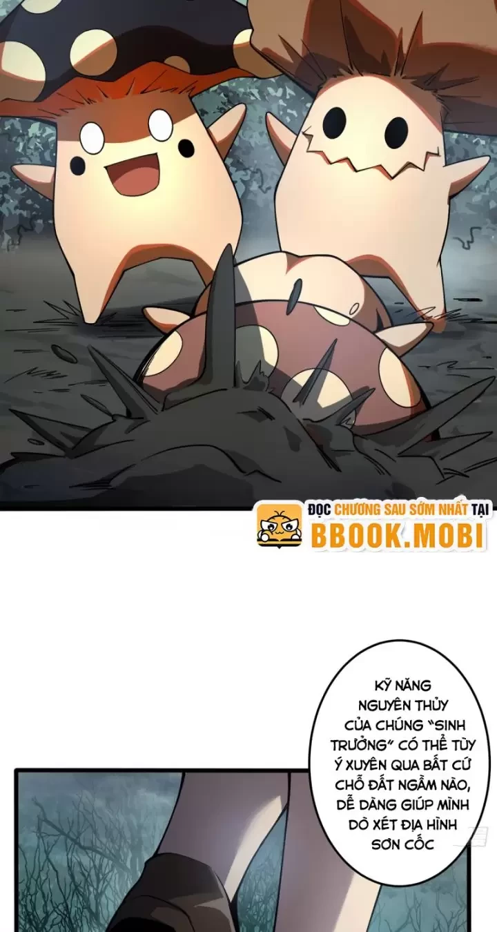 Ta, Chúa Tể Rừng Xanh Chapter 6 - Trang 2