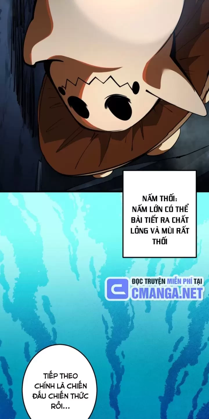 Ta, Chúa Tể Rừng Xanh Chapter 6 - Trang 2