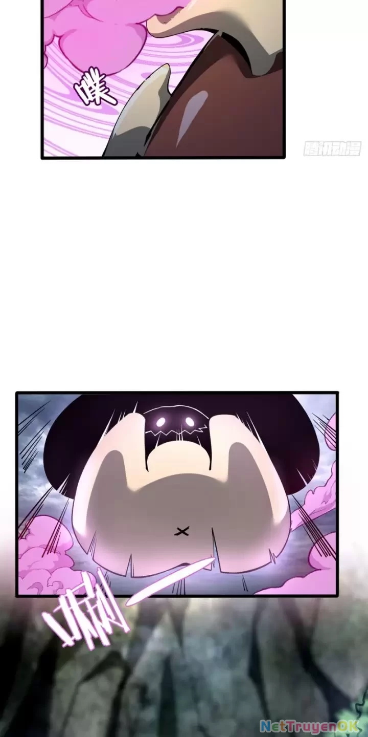 Ta, Chúa Tể Rừng Xanh Chapter 6 - Trang 2