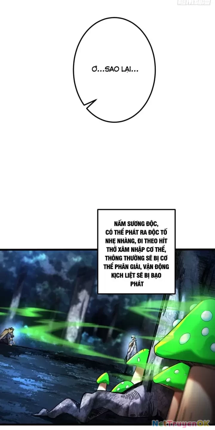 Ta, Chúa Tể Rừng Xanh Chapter 8 - Trang 2