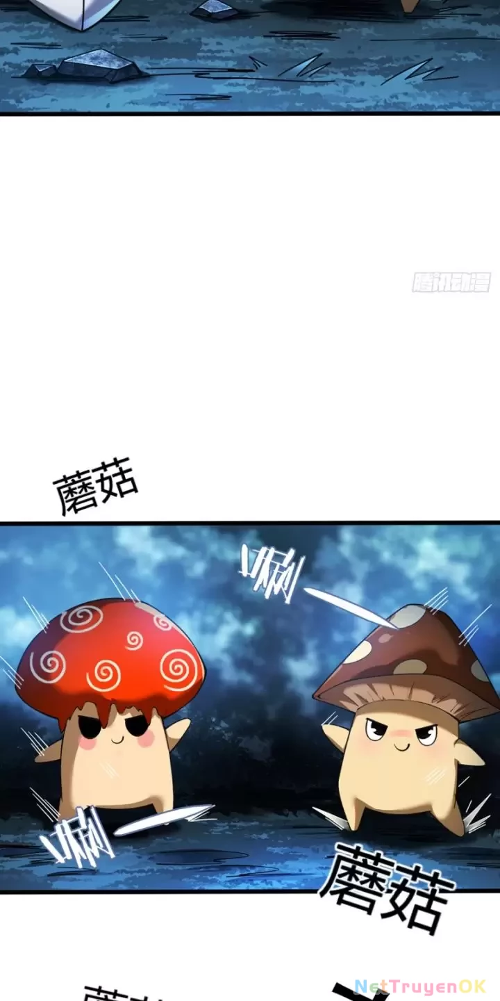 Ta, Chúa Tể Rừng Xanh Chapter 8 - Trang 2