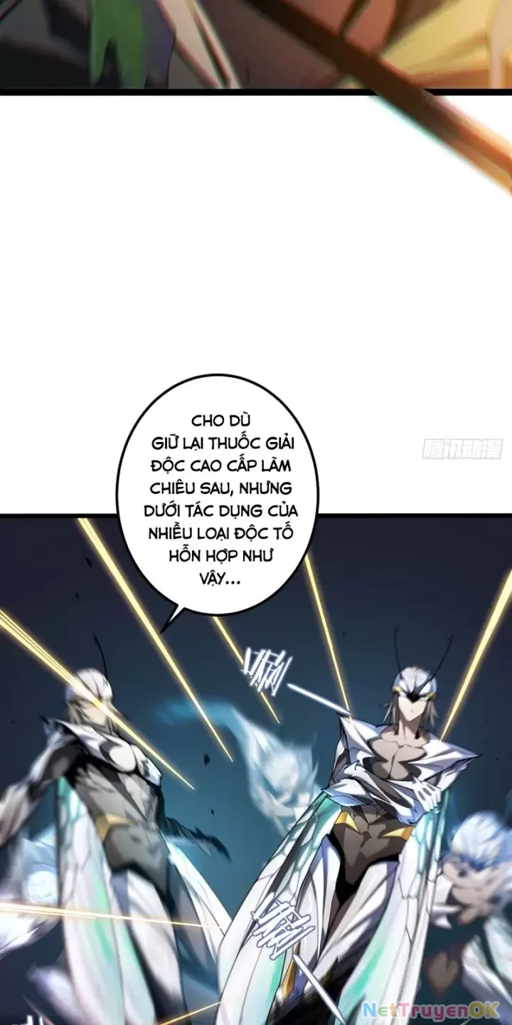 Ta, Chúa Tể Rừng Xanh Chapter 8 - Trang 2