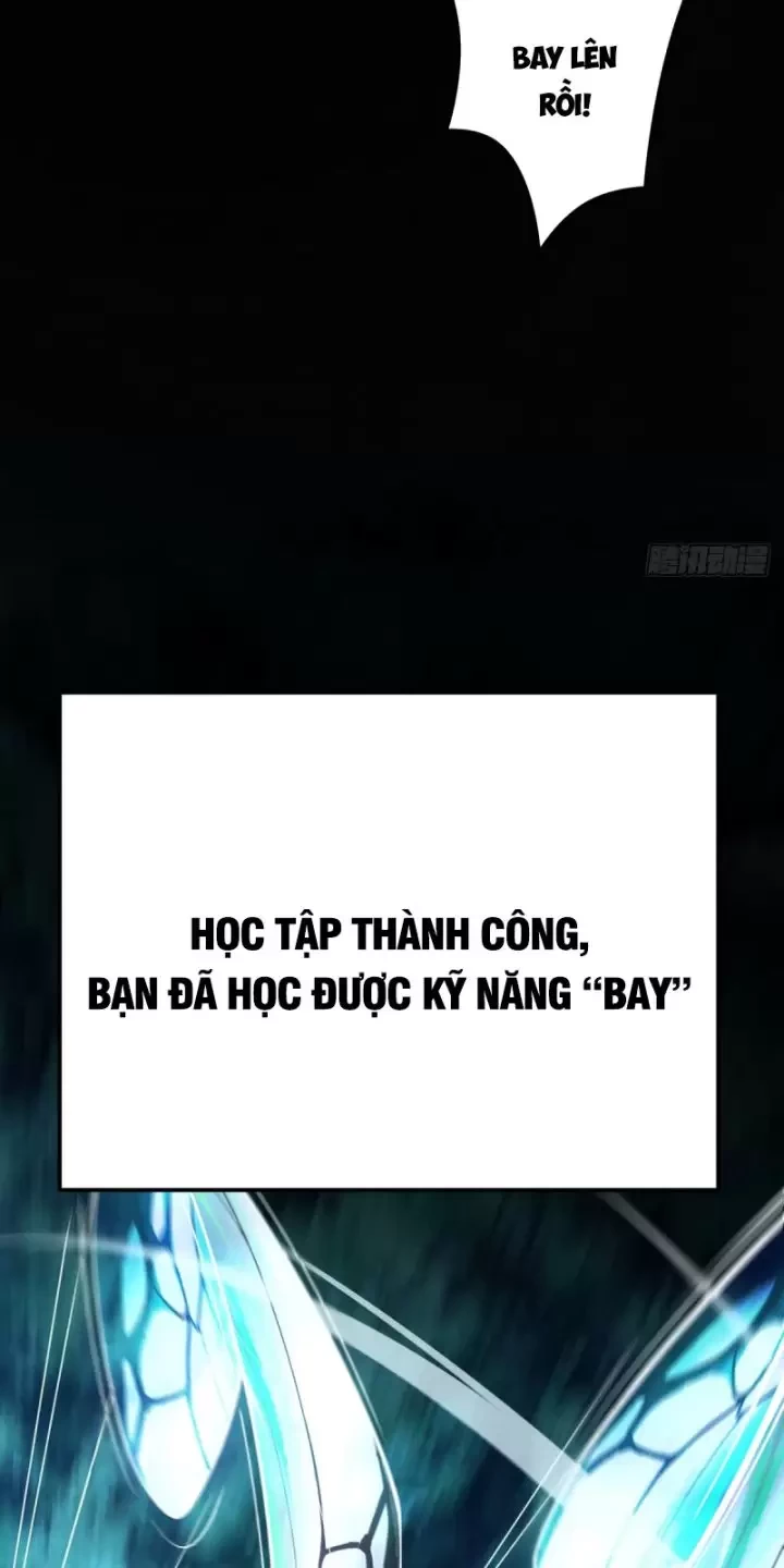 Ta, Chúa Tể Rừng Xanh Chapter 9 - Trang 2