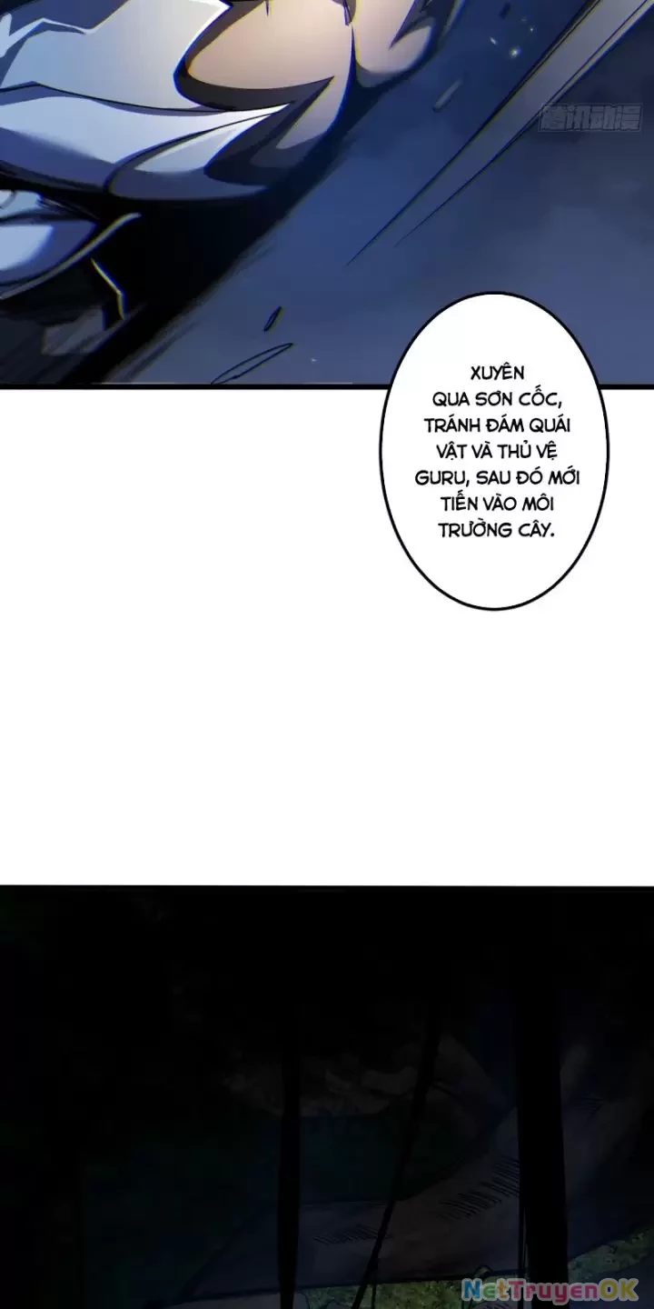 Ta, Chúa Tể Rừng Xanh Chapter 10 - Trang 2