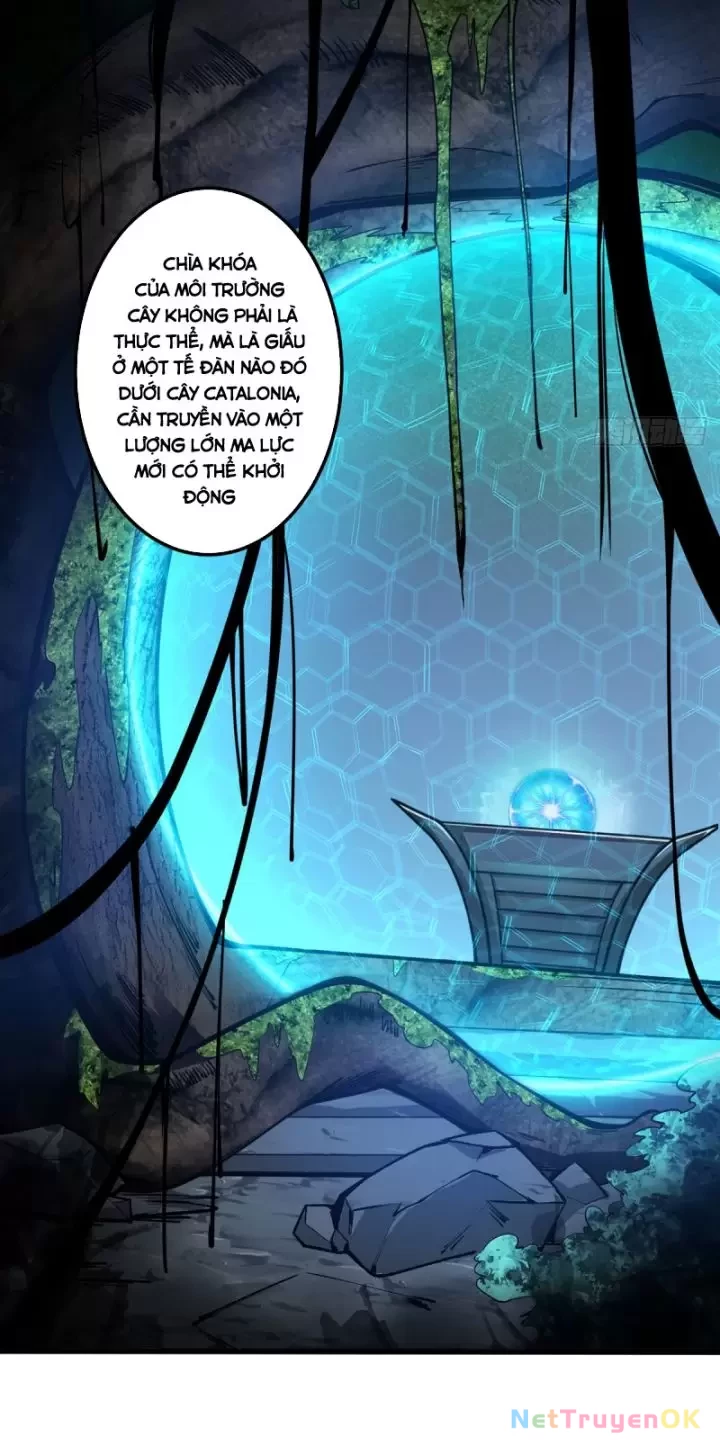 Ta, Chúa Tể Rừng Xanh Chapter 10 - Trang 2