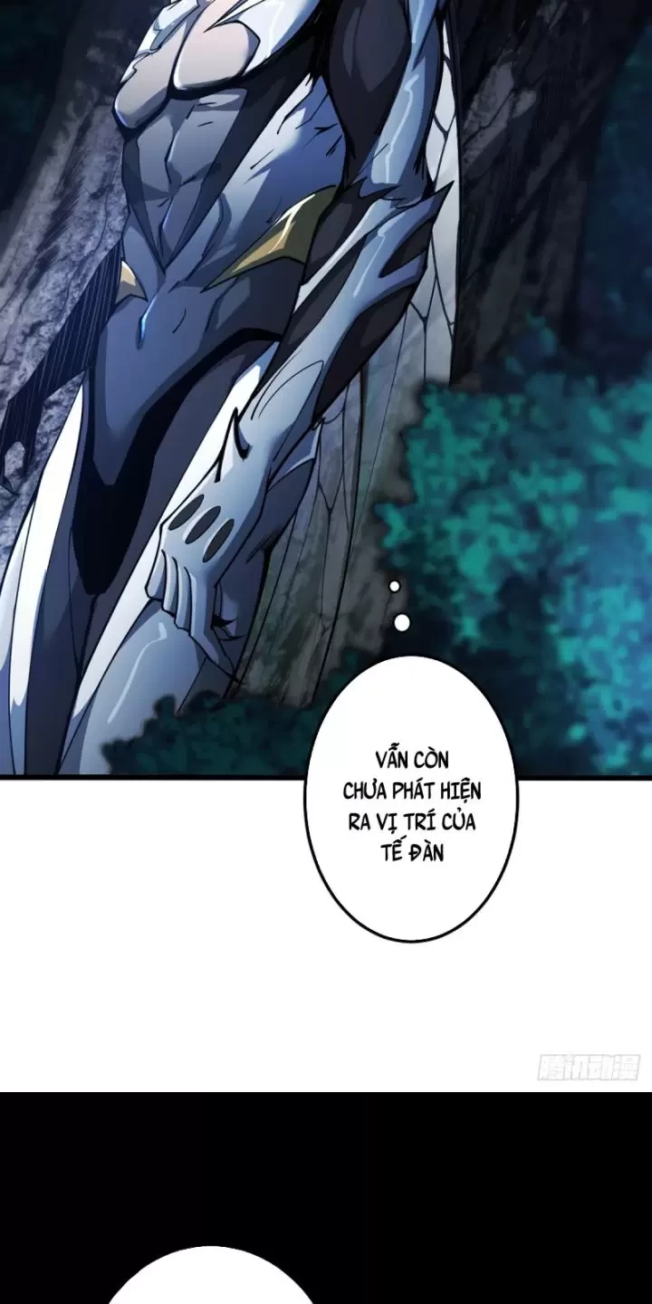 Ta, Chúa Tể Rừng Xanh Chapter 10 - Trang 2