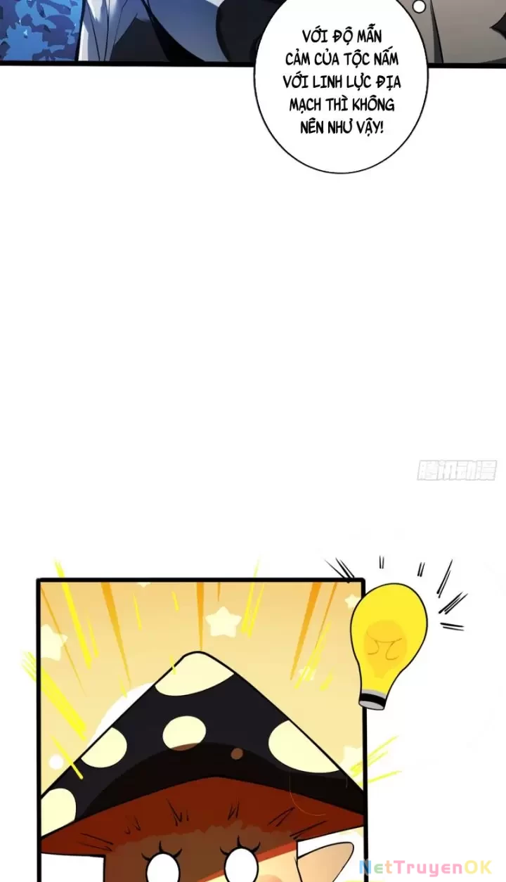 Ta, Chúa Tể Rừng Xanh Chapter 10 - Trang 2