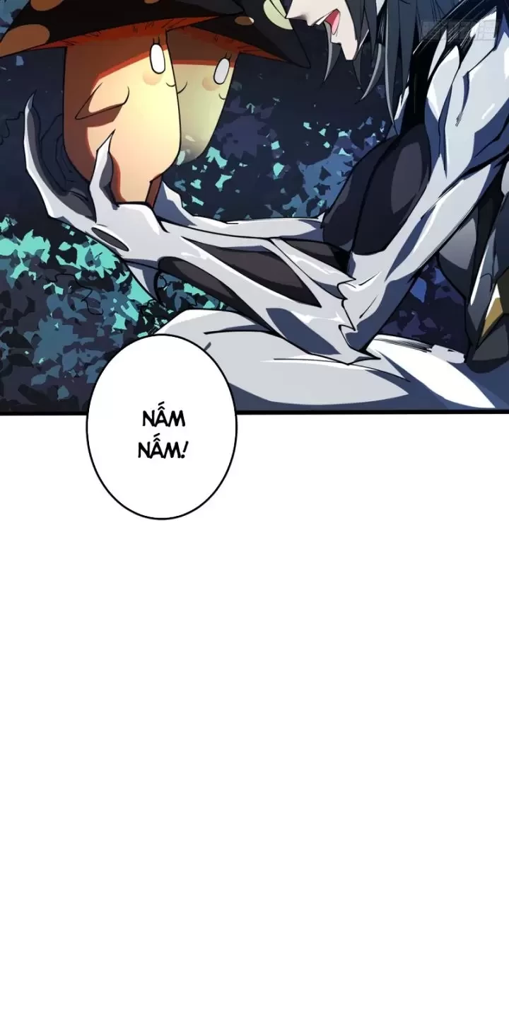 Ta, Chúa Tể Rừng Xanh Chapter 10 - Trang 2