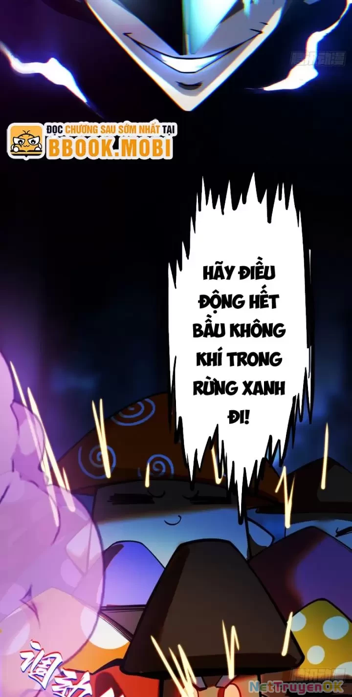 Ta, Chúa Tể Rừng Xanh Chapter 10 - Trang 2
