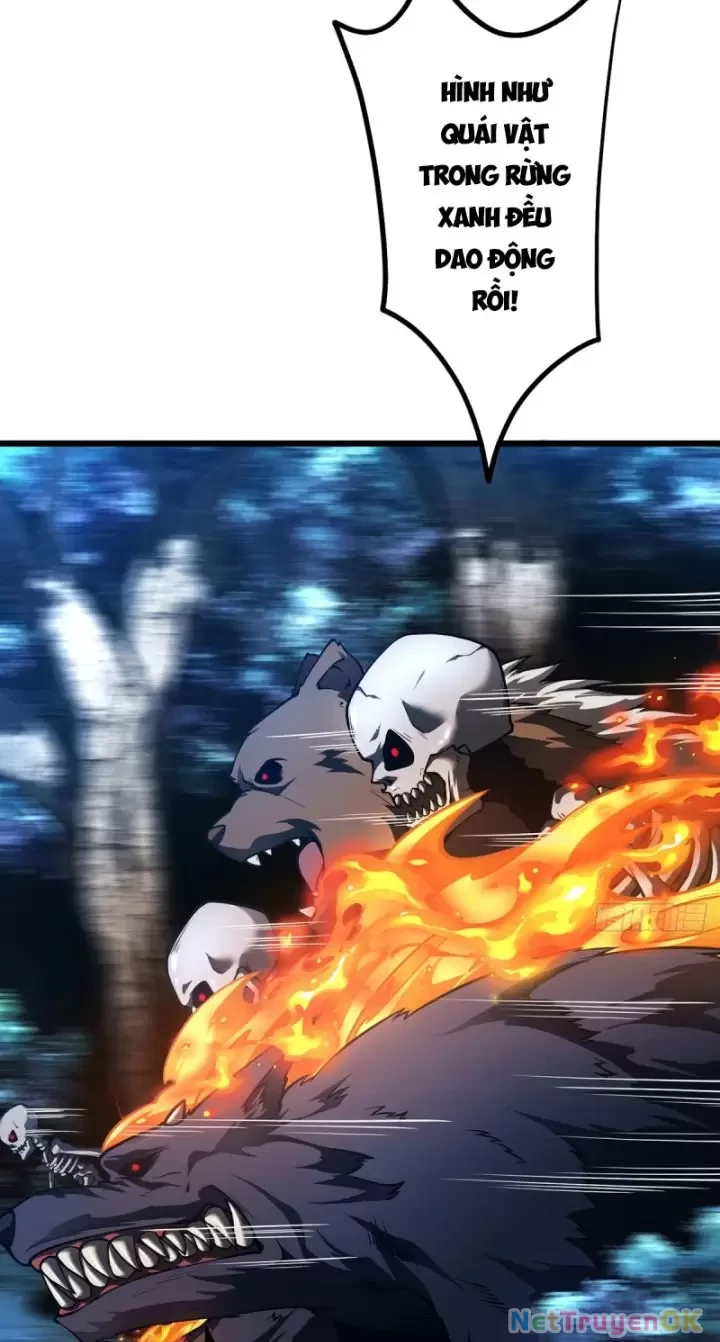 Ta, Chúa Tể Rừng Xanh Chapter 11 - Trang 2