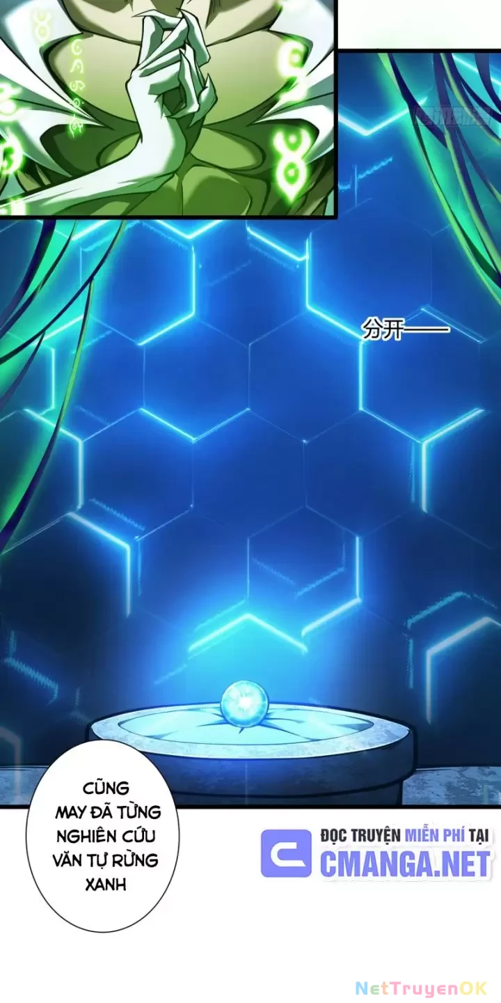 Ta, Chúa Tể Rừng Xanh Chapter 11 - Trang 2