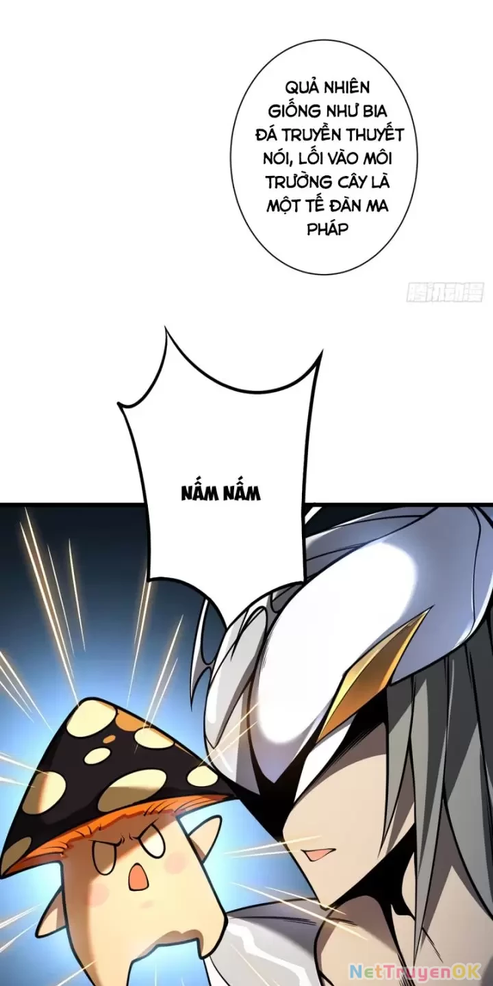 Ta, Chúa Tể Rừng Xanh Chapter 11 - Trang 2