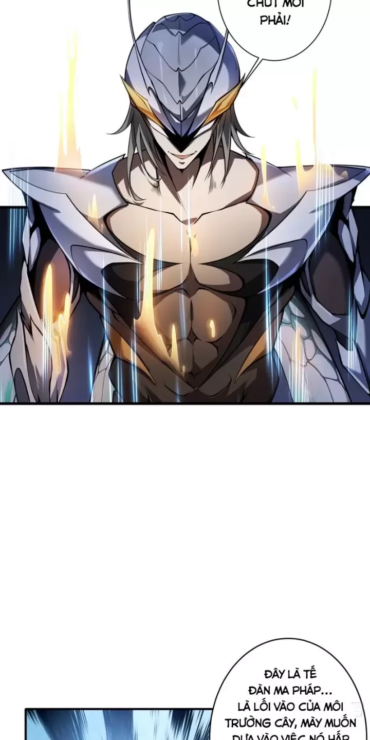 Ta, Chúa Tể Rừng Xanh Chapter 12 - Trang 2