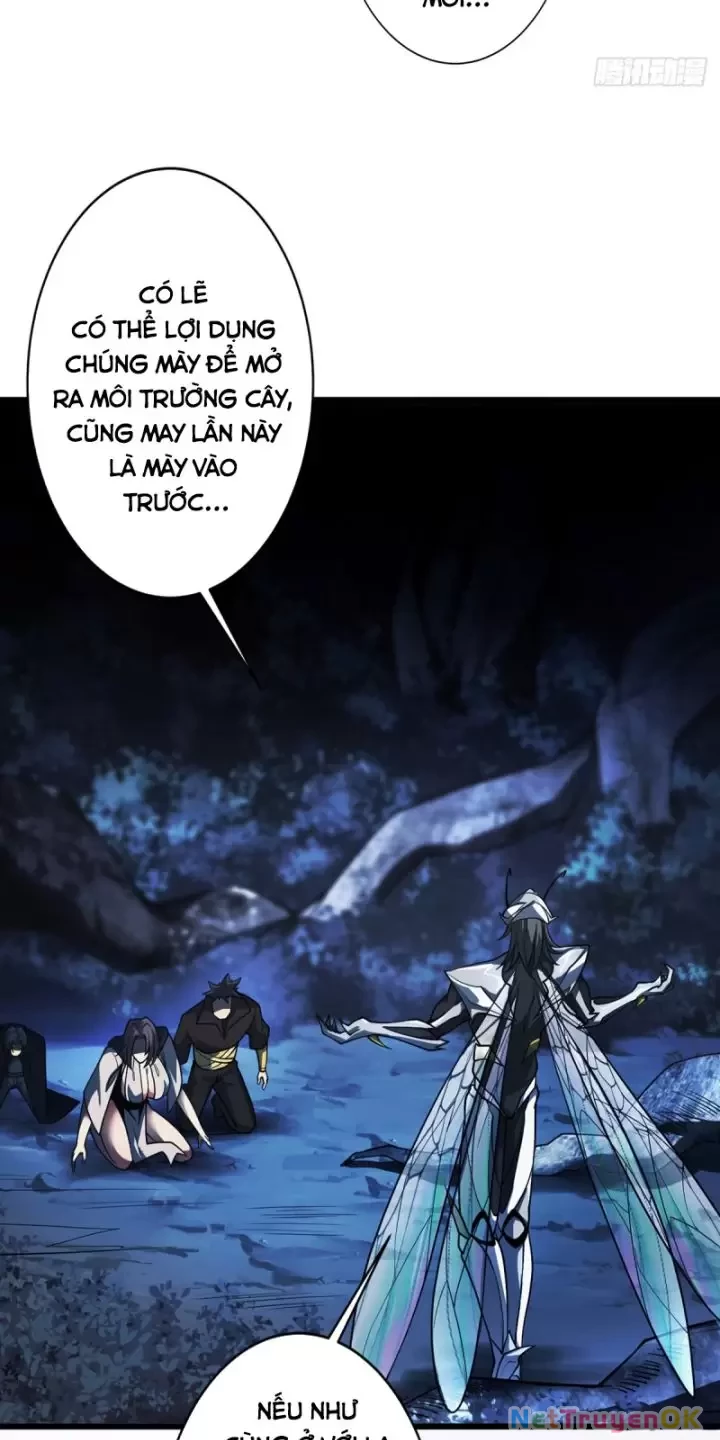 Ta, Chúa Tể Rừng Xanh Chapter 12 - Trang 2