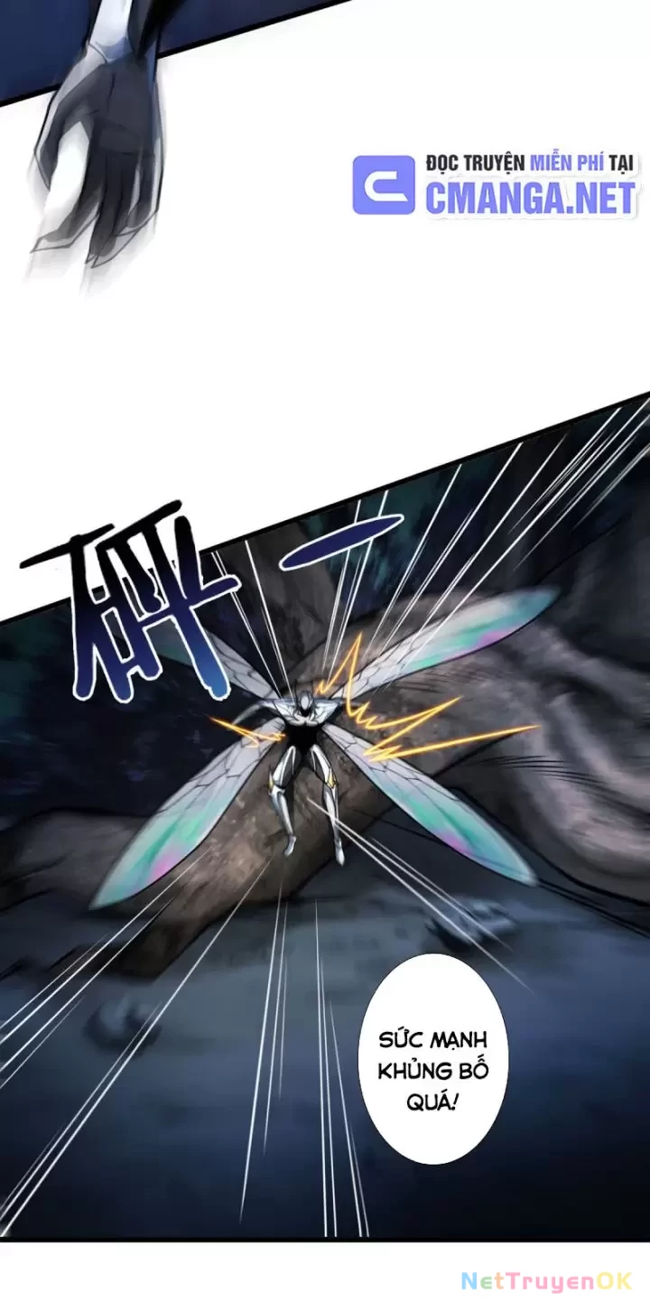 Ta, Chúa Tể Rừng Xanh Chapter 13 - Trang 2