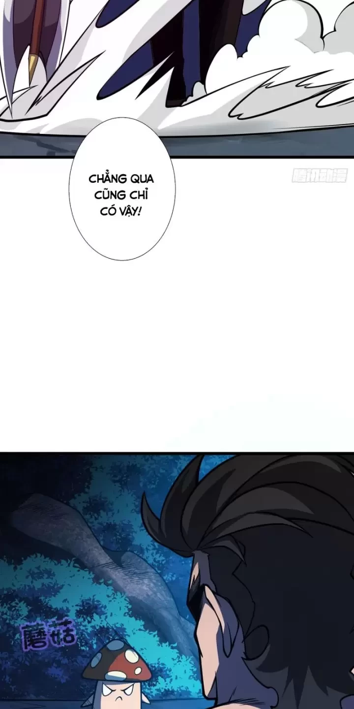 Ta, Chúa Tể Rừng Xanh Chapter 13 - Trang 2