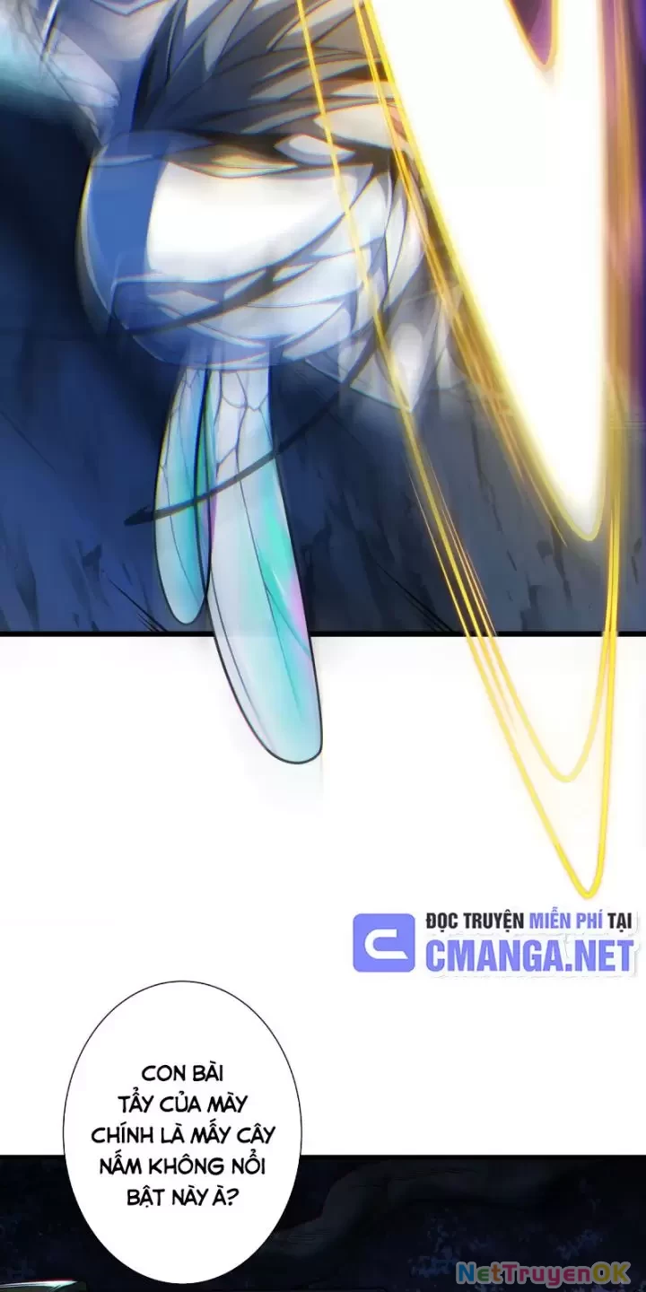 Ta, Chúa Tể Rừng Xanh Chapter 13 - Trang 2