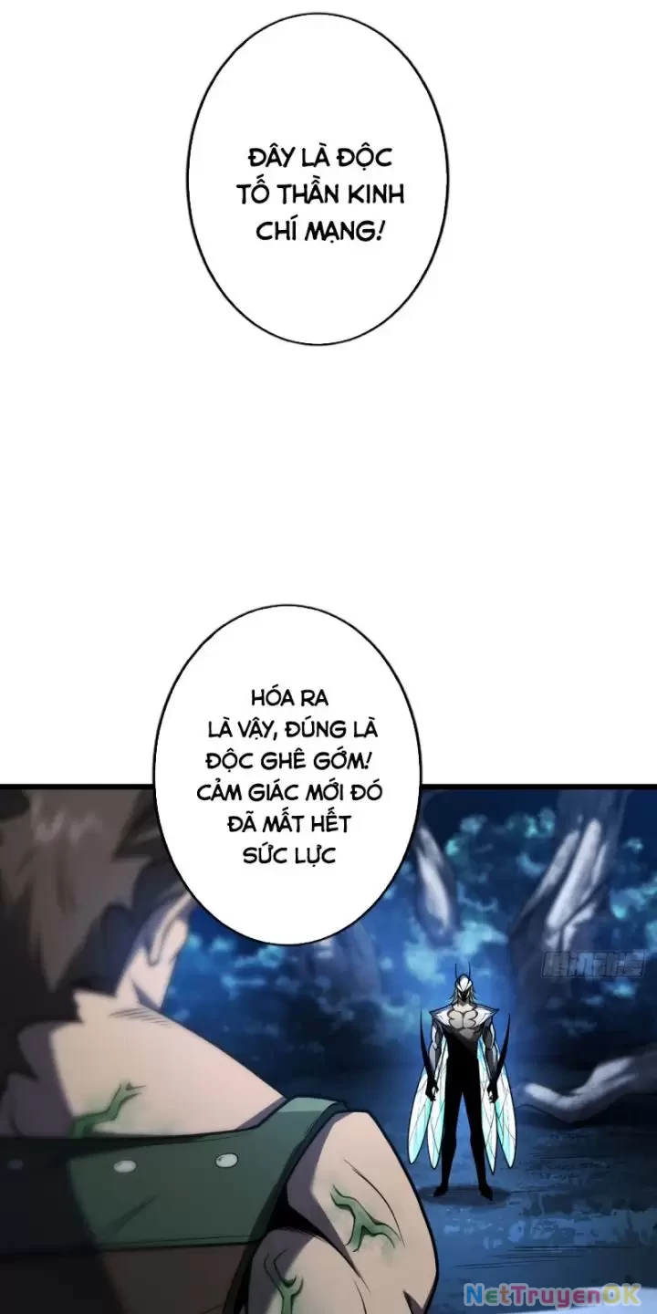 Ta, Chúa Tể Rừng Xanh Chapter 13 - Trang 2