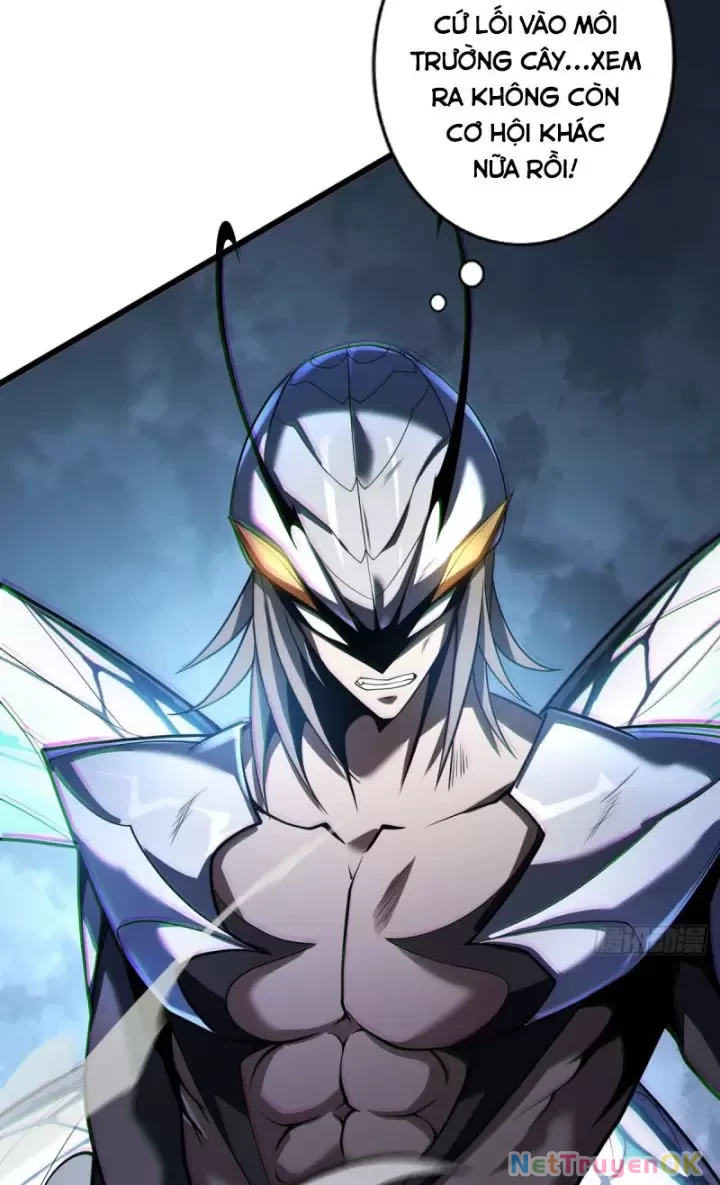 Ta, Chúa Tể Rừng Xanh Chapter 14 - Trang 2