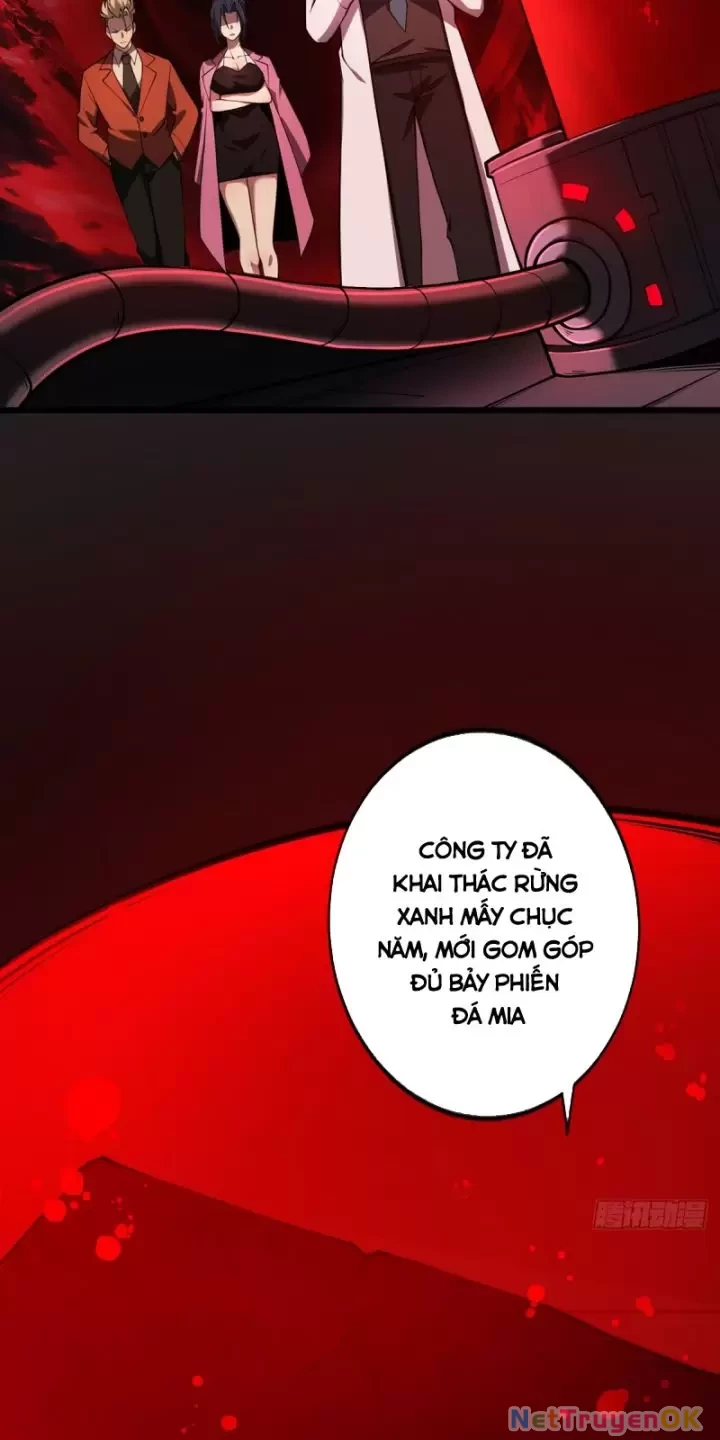Ta, Chúa Tể Rừng Xanh Chapter 16 - Trang 2