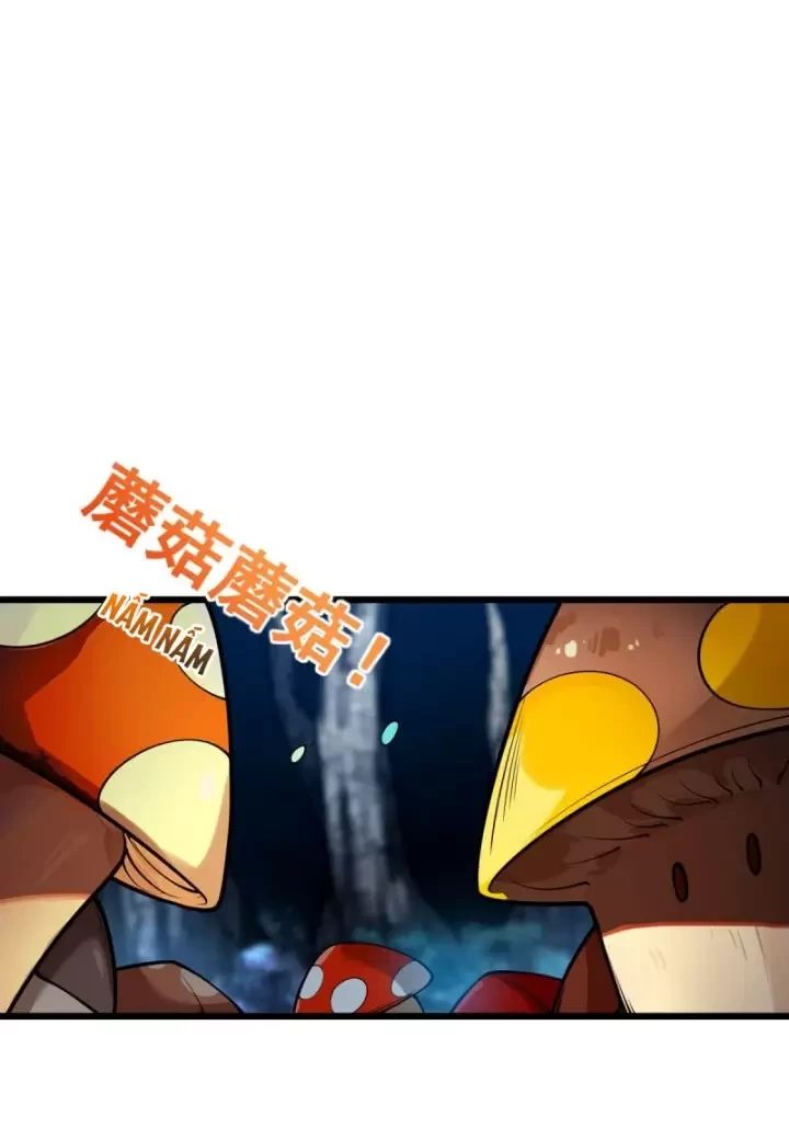 Ta, Chúa Tể Rừng Xanh Chapter 16 - Trang 2