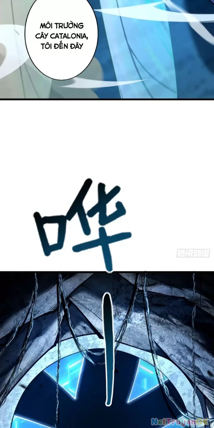 Ta, Chúa Tể Rừng Xanh Chapter 16 - Trang 2