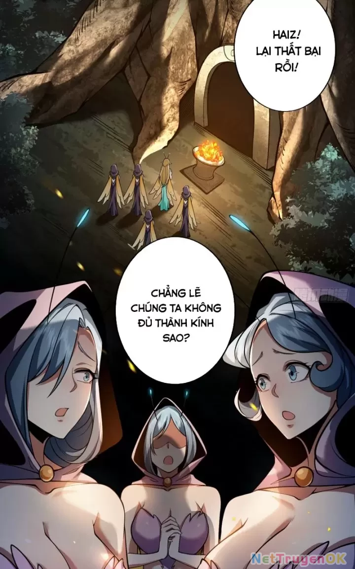 Ta, Chúa Tể Rừng Xanh Chapter 16 - Trang 2