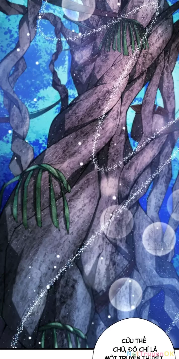 Ta, Chúa Tể Rừng Xanh Chapter 17 - Trang 2