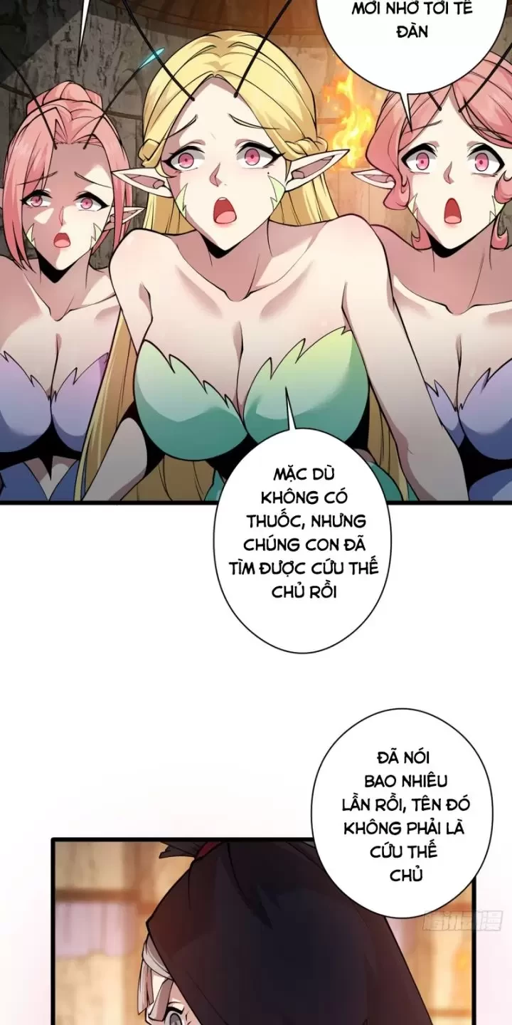 Ta, Chúa Tể Rừng Xanh Chapter 17 - Trang 2