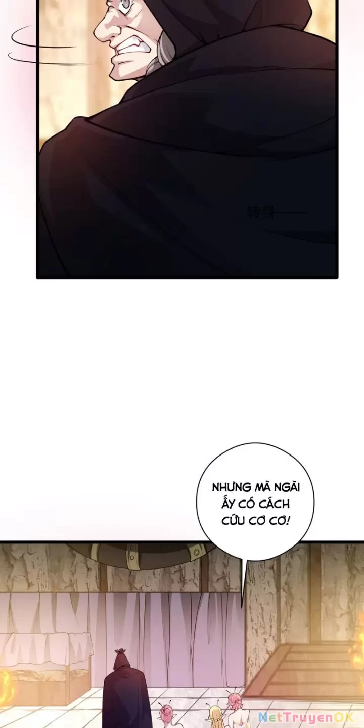 Ta, Chúa Tể Rừng Xanh Chapter 17 - Trang 2