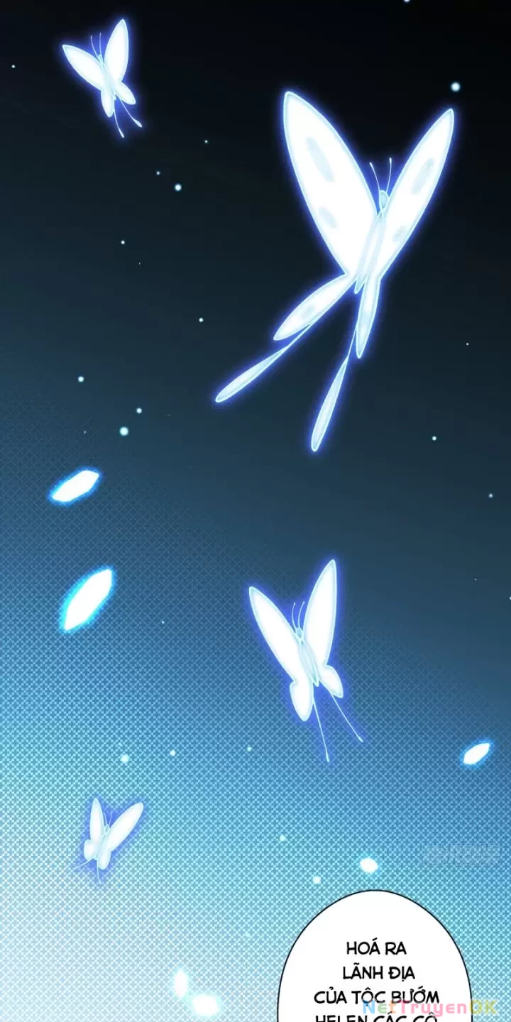 Ta, Chúa Tể Rừng Xanh Chapter 17 - Trang 2