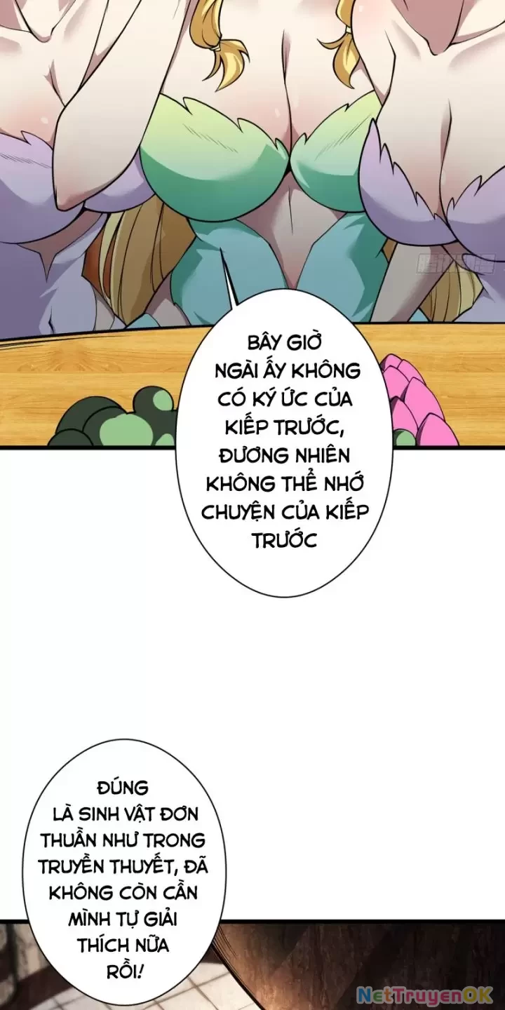 Ta, Chúa Tể Rừng Xanh Chapter 17 - Trang 2