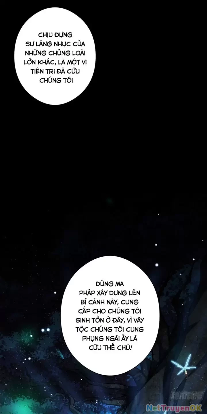 Ta, Chúa Tể Rừng Xanh Chapter 17 - Trang 2