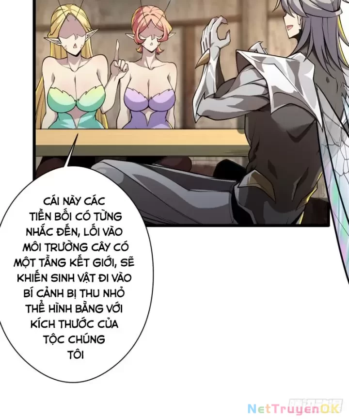 Ta, Chúa Tể Rừng Xanh Chapter 17 - Trang 2