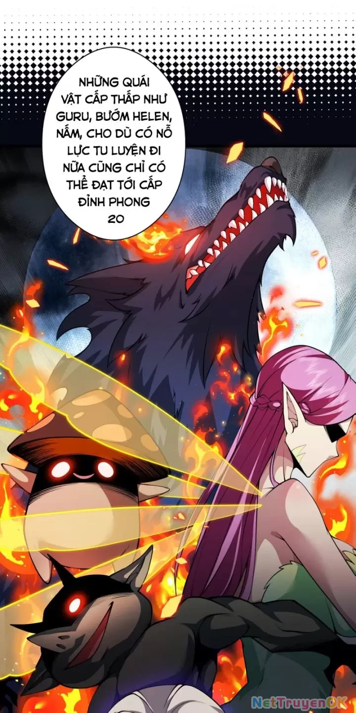 Ta, Chúa Tể Rừng Xanh Chapter 18 - Trang 2