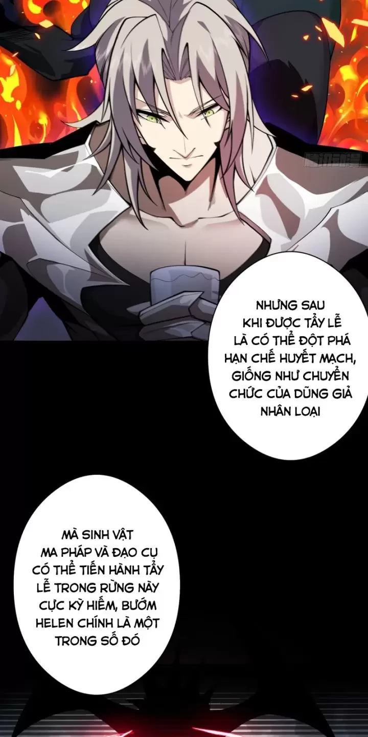 Ta, Chúa Tể Rừng Xanh Chapter 18 - Trang 2