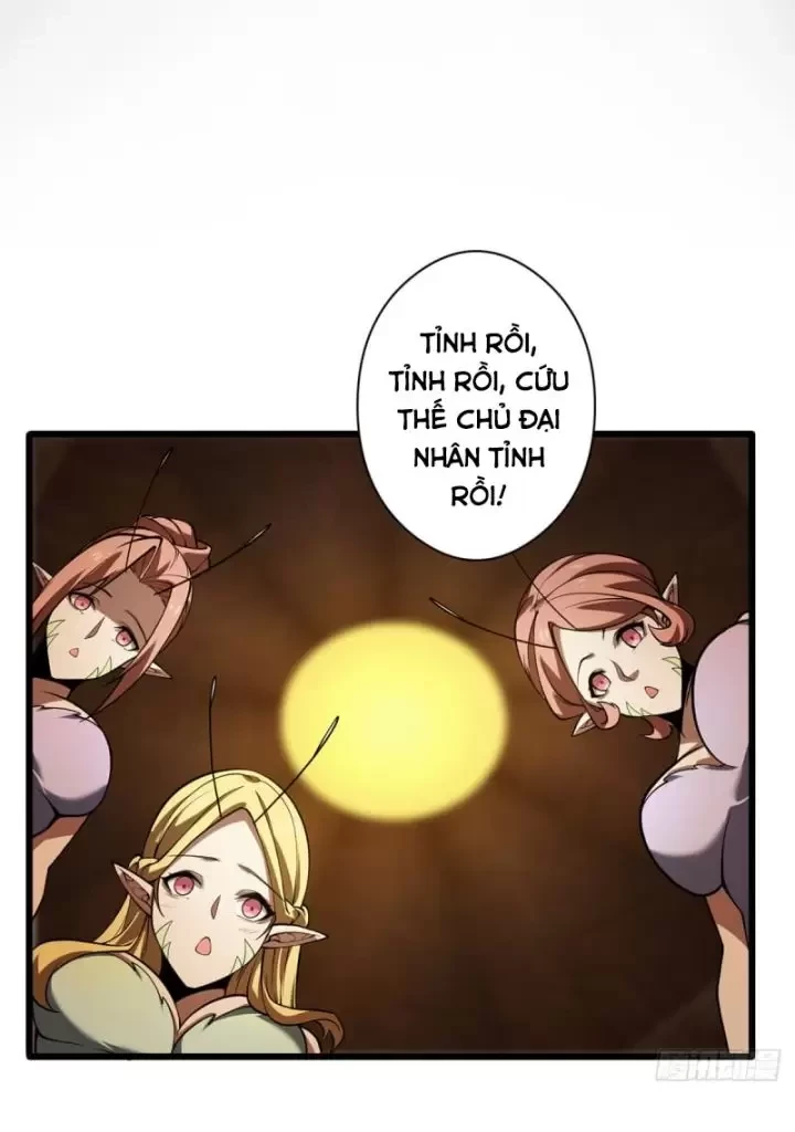 Ta, Chúa Tể Rừng Xanh Chapter 20 - Trang 2