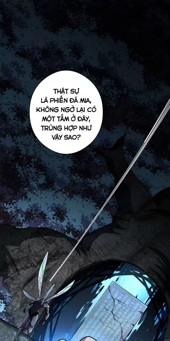 Ta, Chúa Tể Rừng Xanh Chapter 22 - Trang 2