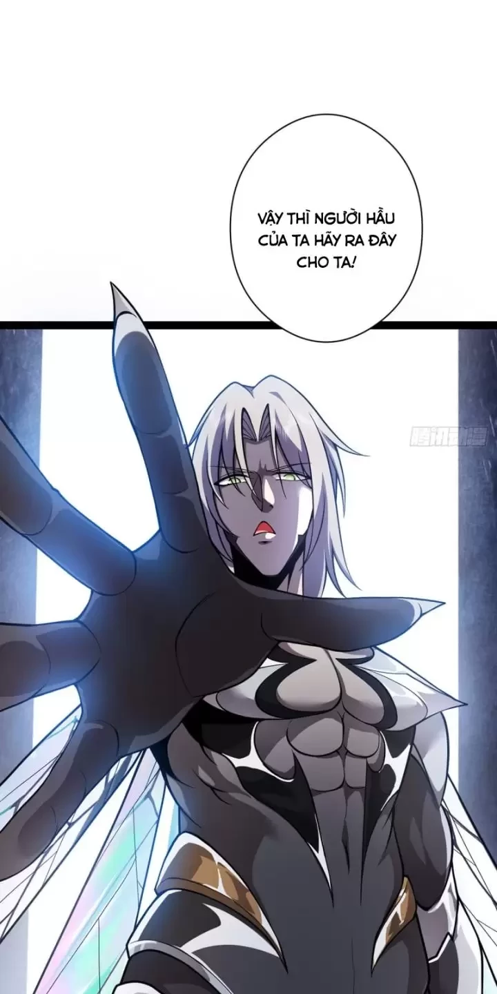 Ta, Chúa Tể Rừng Xanh Chapter 23 - Trang 2