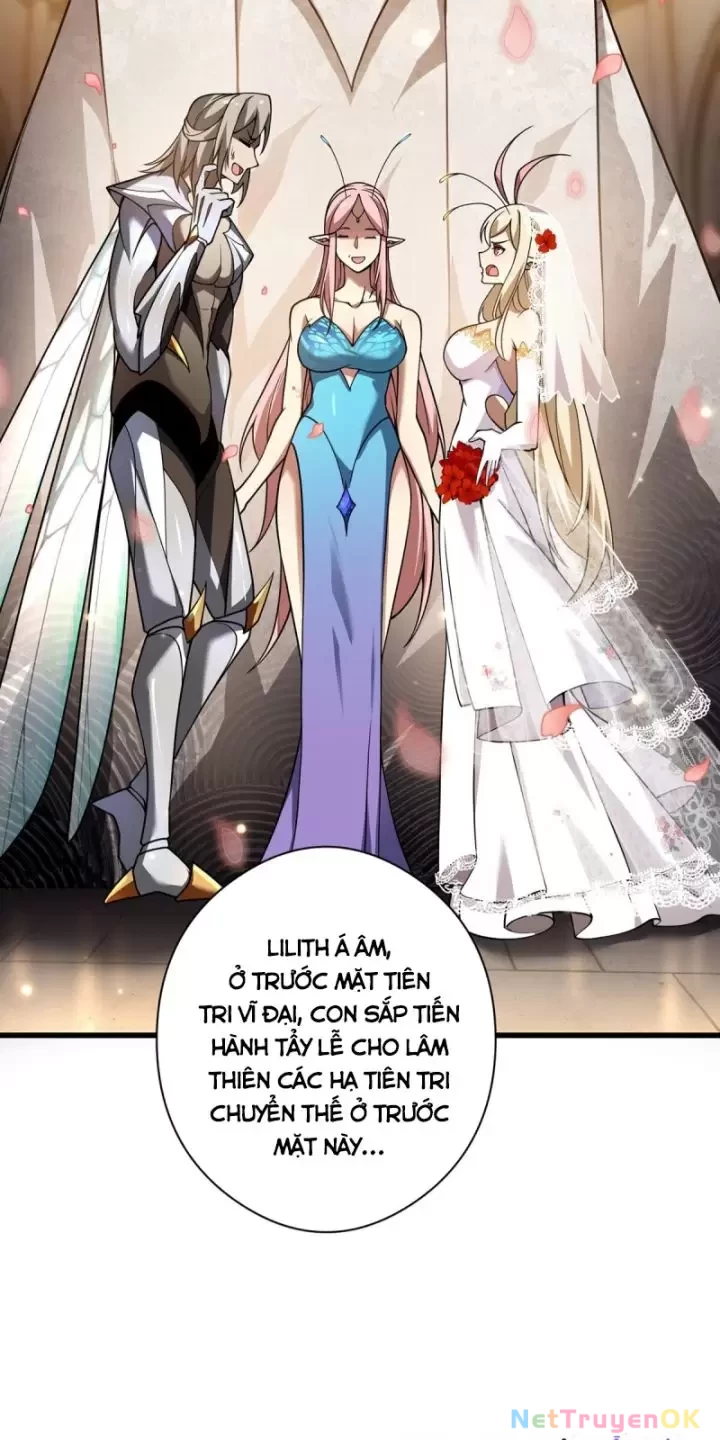 Ta, Chúa Tể Rừng Xanh Chapter 24 - Trang 2