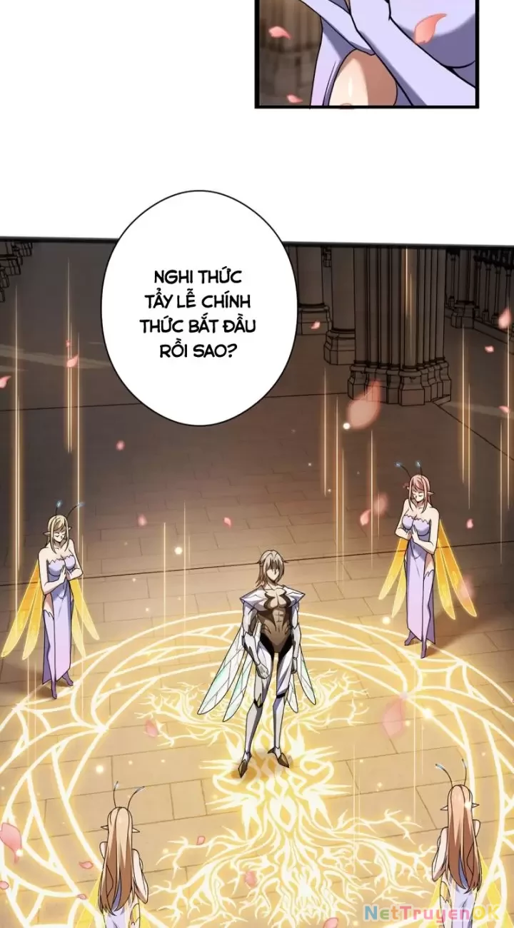 Ta, Chúa Tể Rừng Xanh Chapter 24 - Trang 2