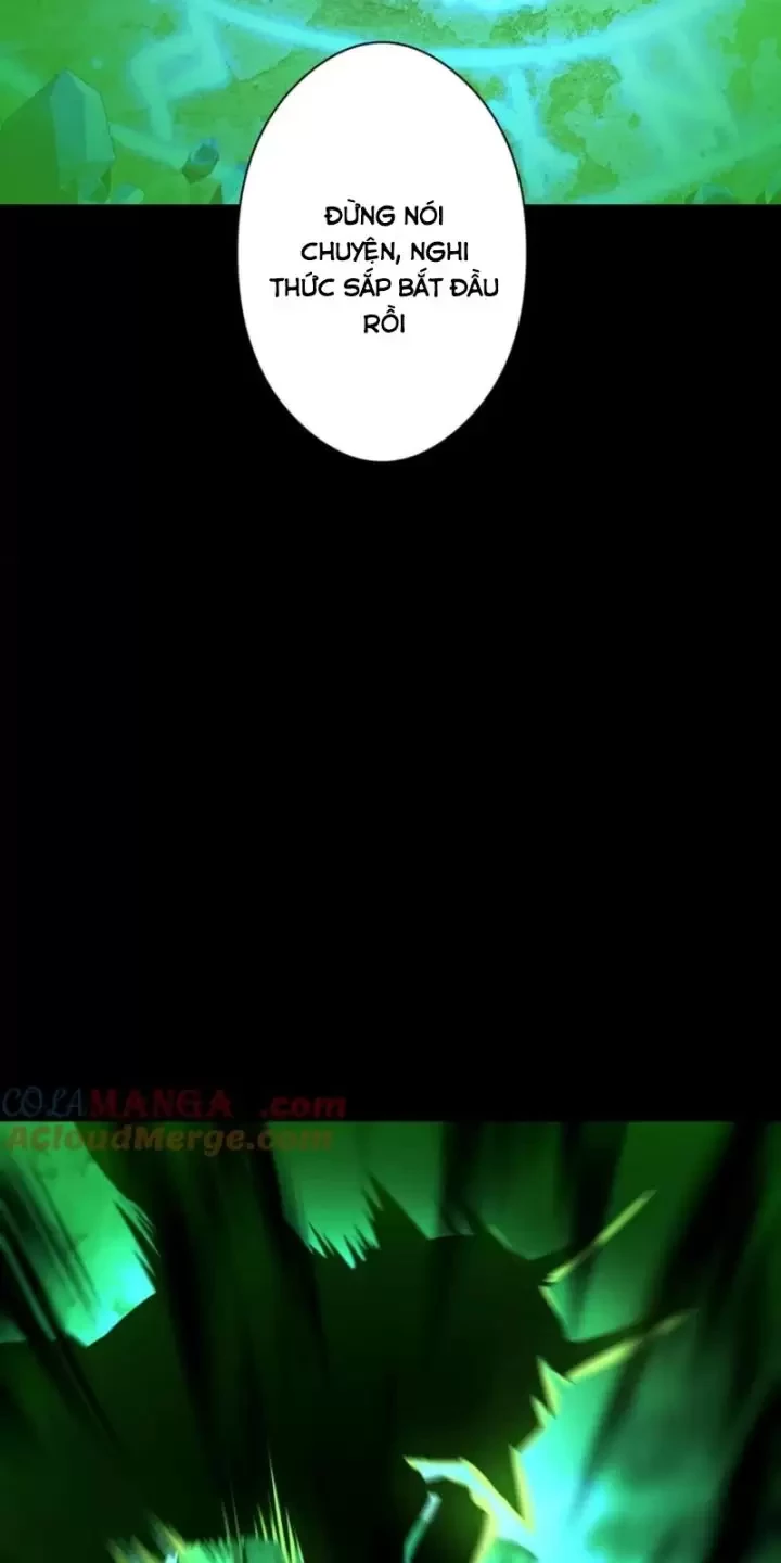 Ta, Chúa Tể Rừng Xanh Chapter 27 - Trang 2