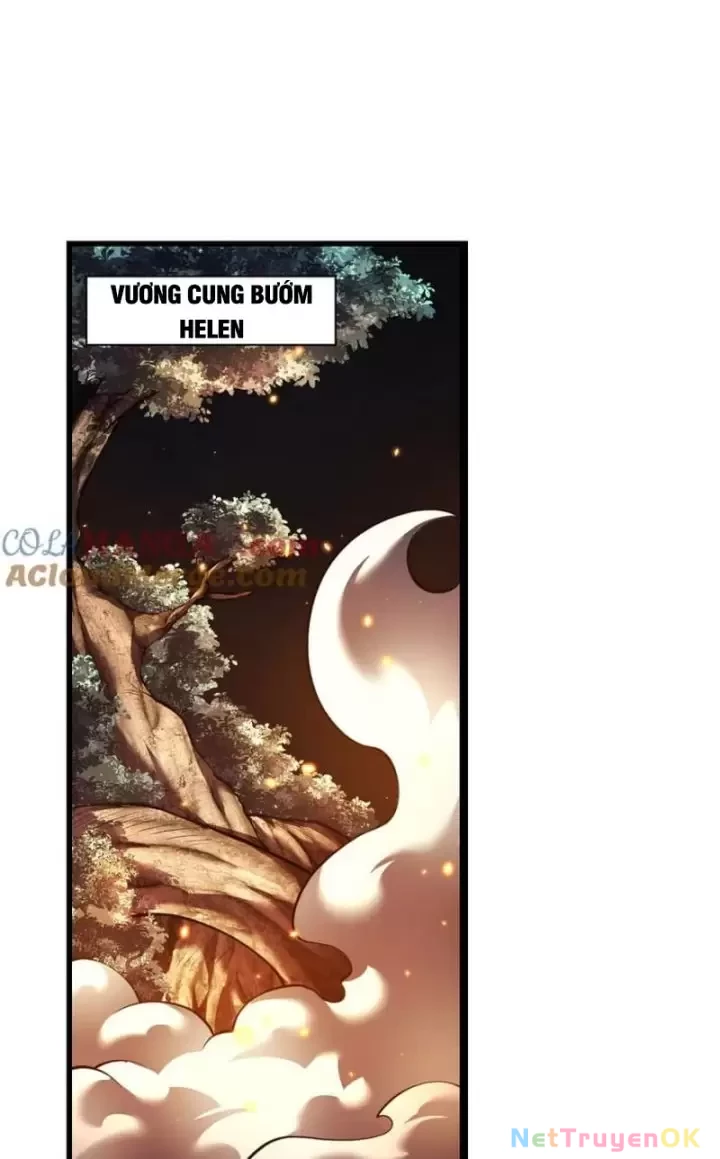 Ta, Chúa Tể Rừng Xanh Chapter 28 - Trang 2