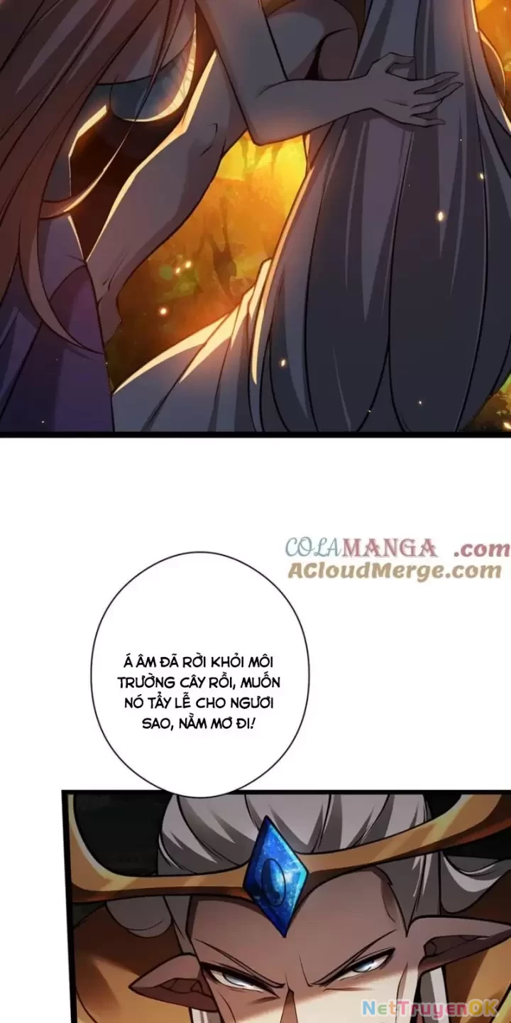 Ta, Chúa Tể Rừng Xanh Chapter 28 - Trang 2