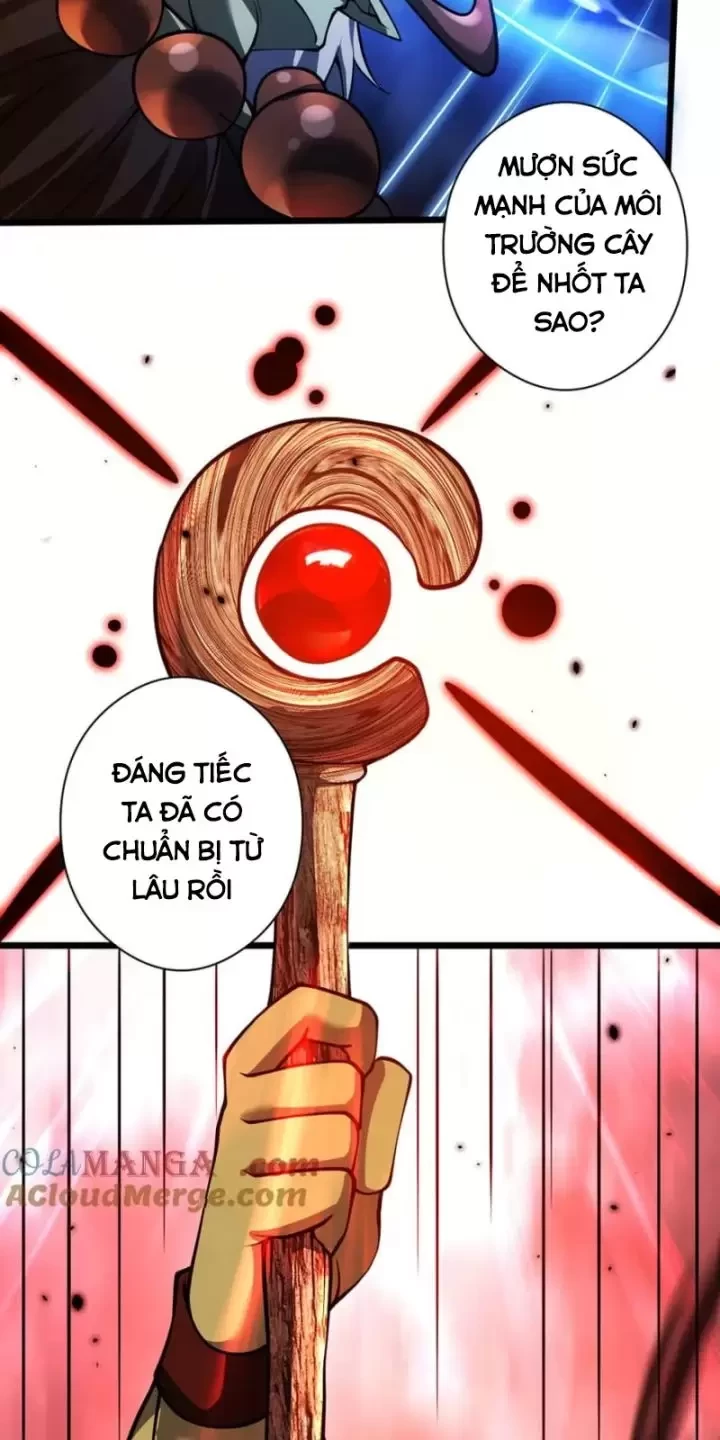 Ta, Chúa Tể Rừng Xanh Chapter 28 - Trang 2