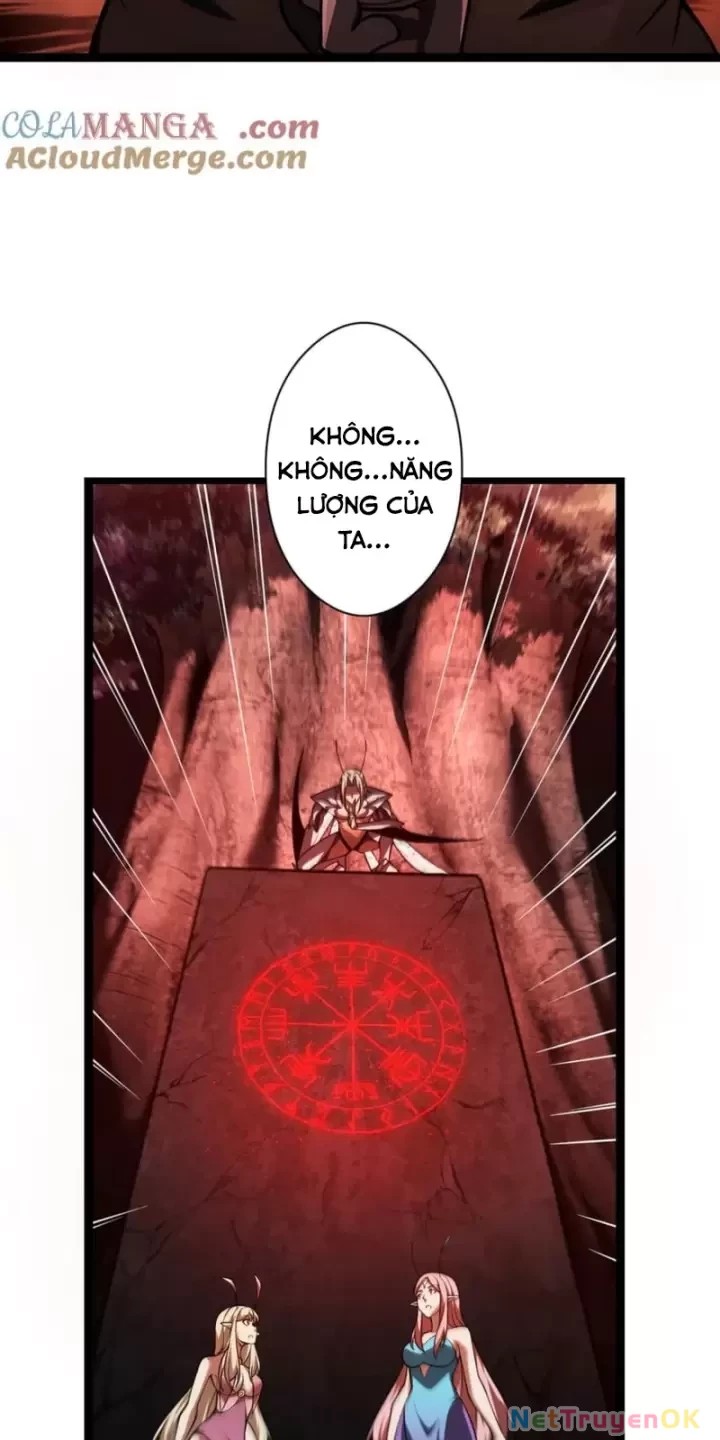 Ta, Chúa Tể Rừng Xanh Chapter 31 - Trang 2