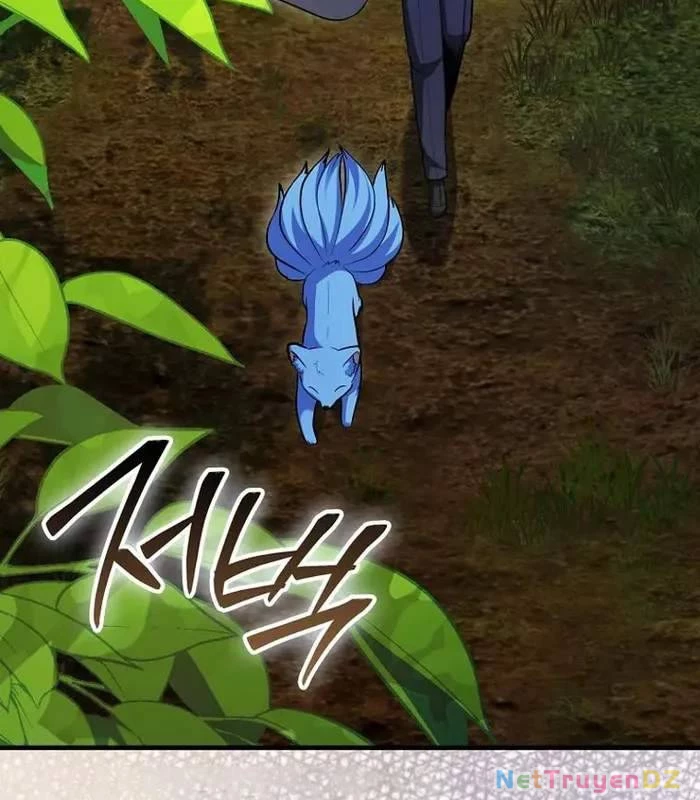 Thiên Tài Võ Thuật Hồi Quy Chapter 73 - Trang 4