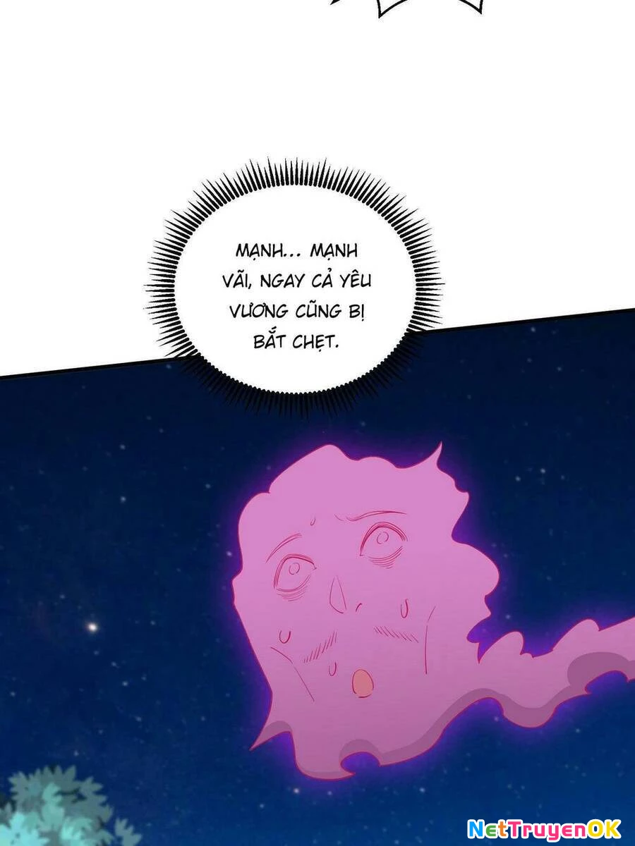 Từ Lúc Bắt Đầu Liền Vô Địch Chapter 13 - Trang 2